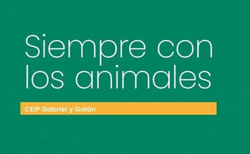 Siempre con los animales